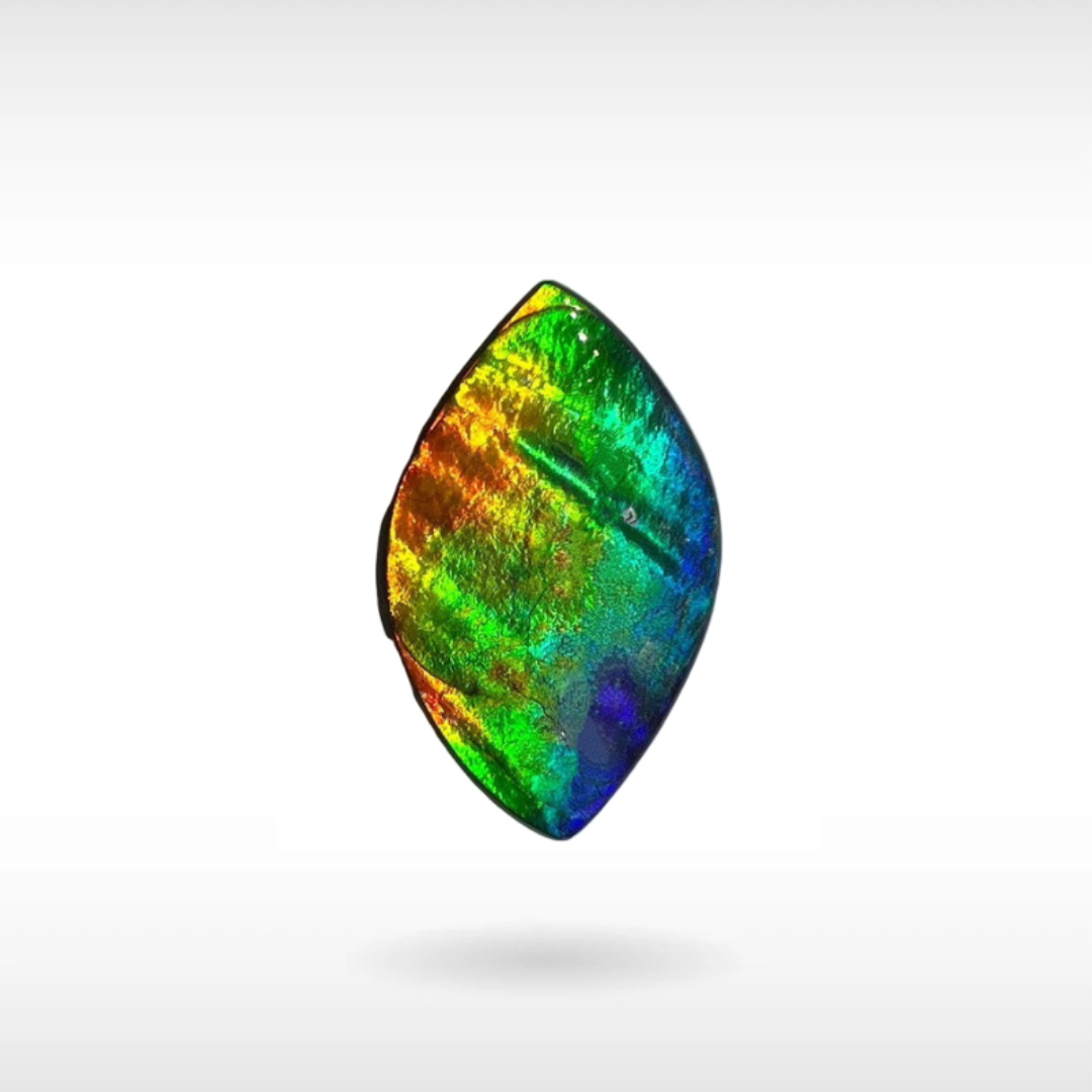 Natural Ammolite Stone – KORITE