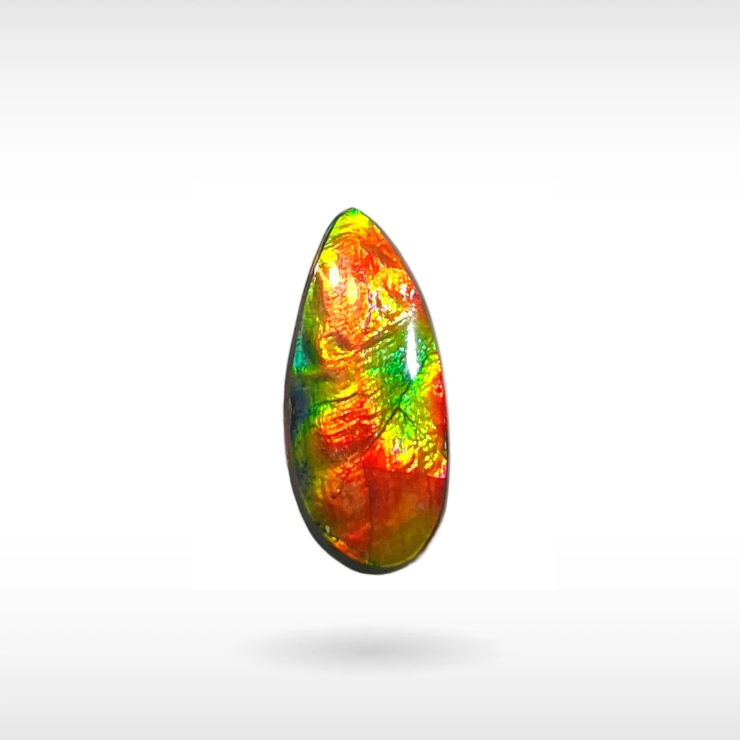 Natural Ammolite Stone – KORITE