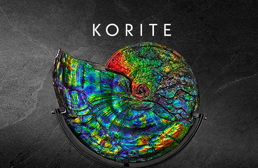 Collections – KORITE