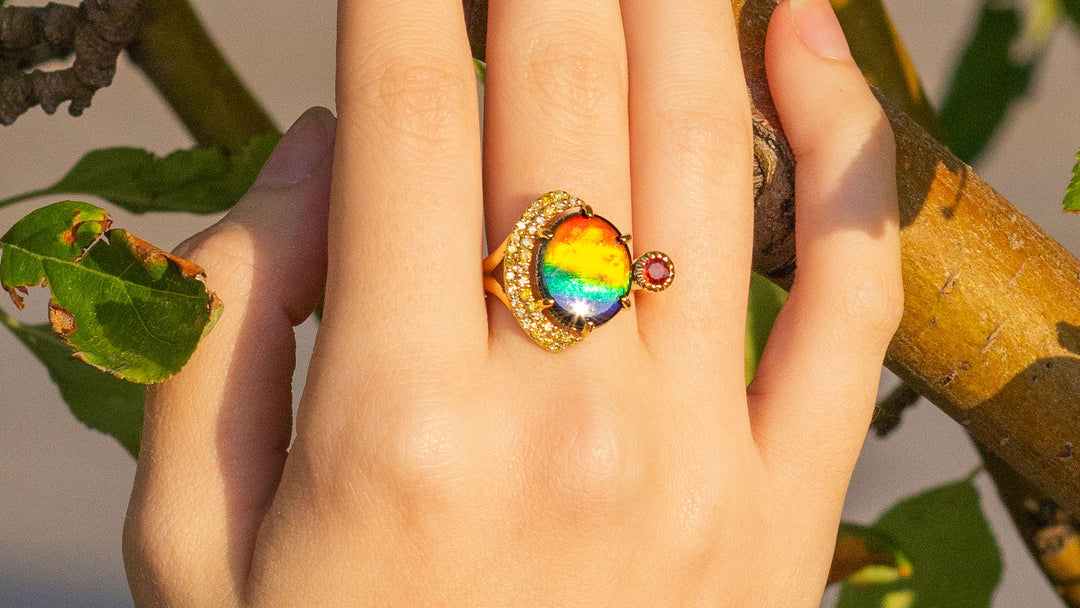 Canadian Ammolite at Golden Hour