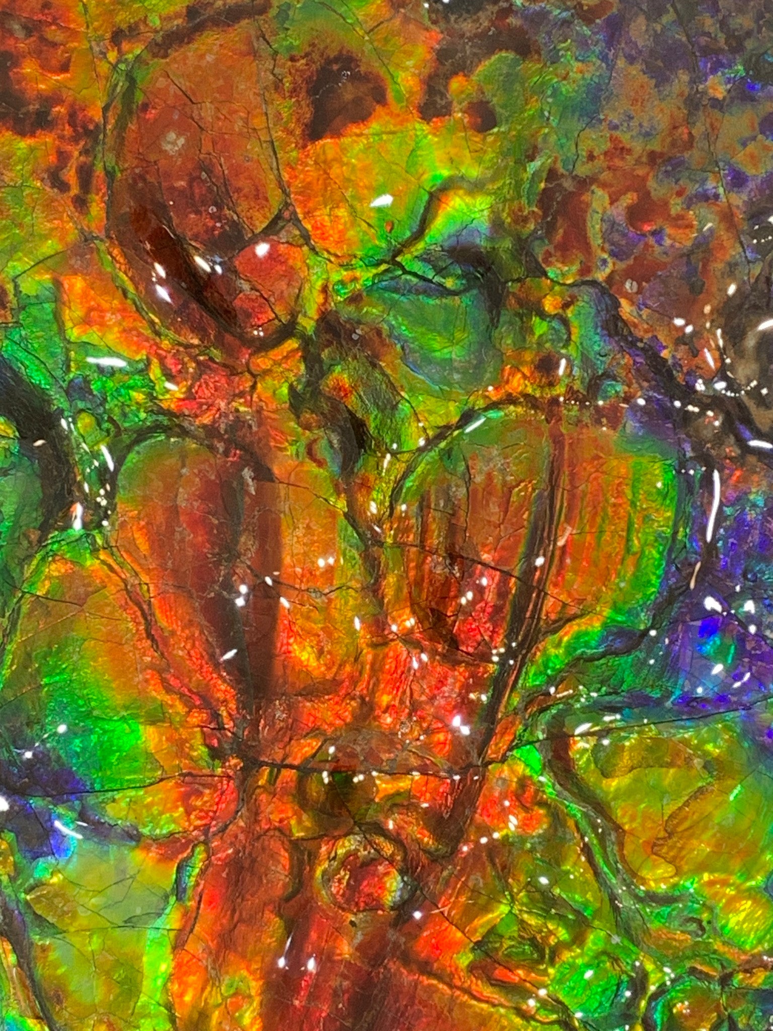 Collectibles - Alberta's Official Gemstone