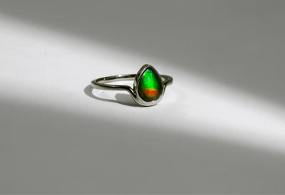 Ammolite Gifts Under $500