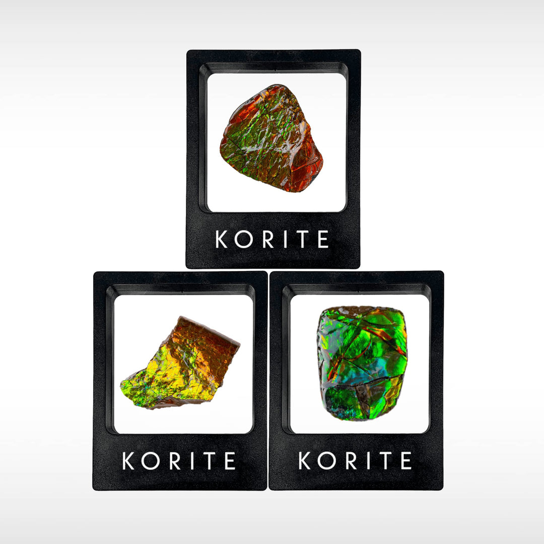 Ammolite Hand Specimens