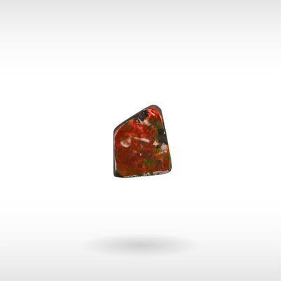 Freeform Ammolite - Handheld