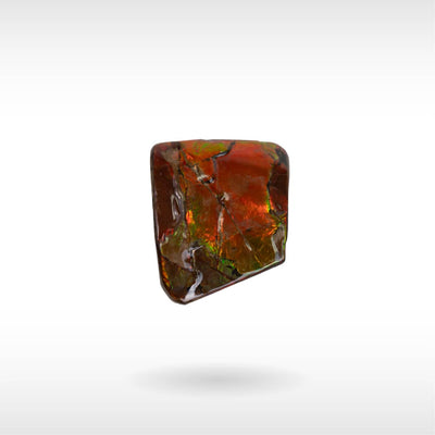 Freeform Ammolite - Handheld