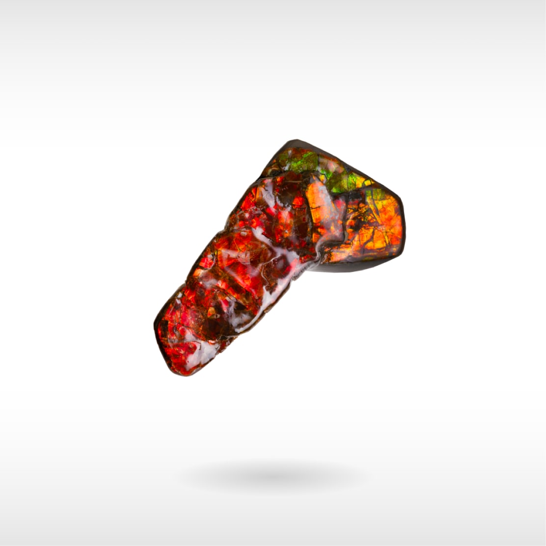 Freeform Ammolite - Handheld