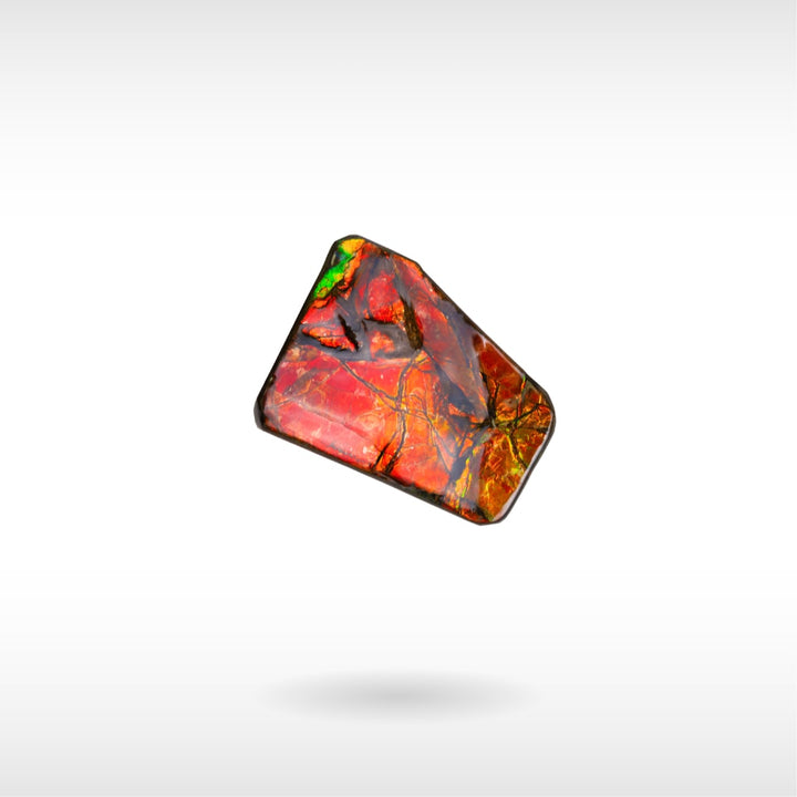 Freeform Ammolite - Handheld