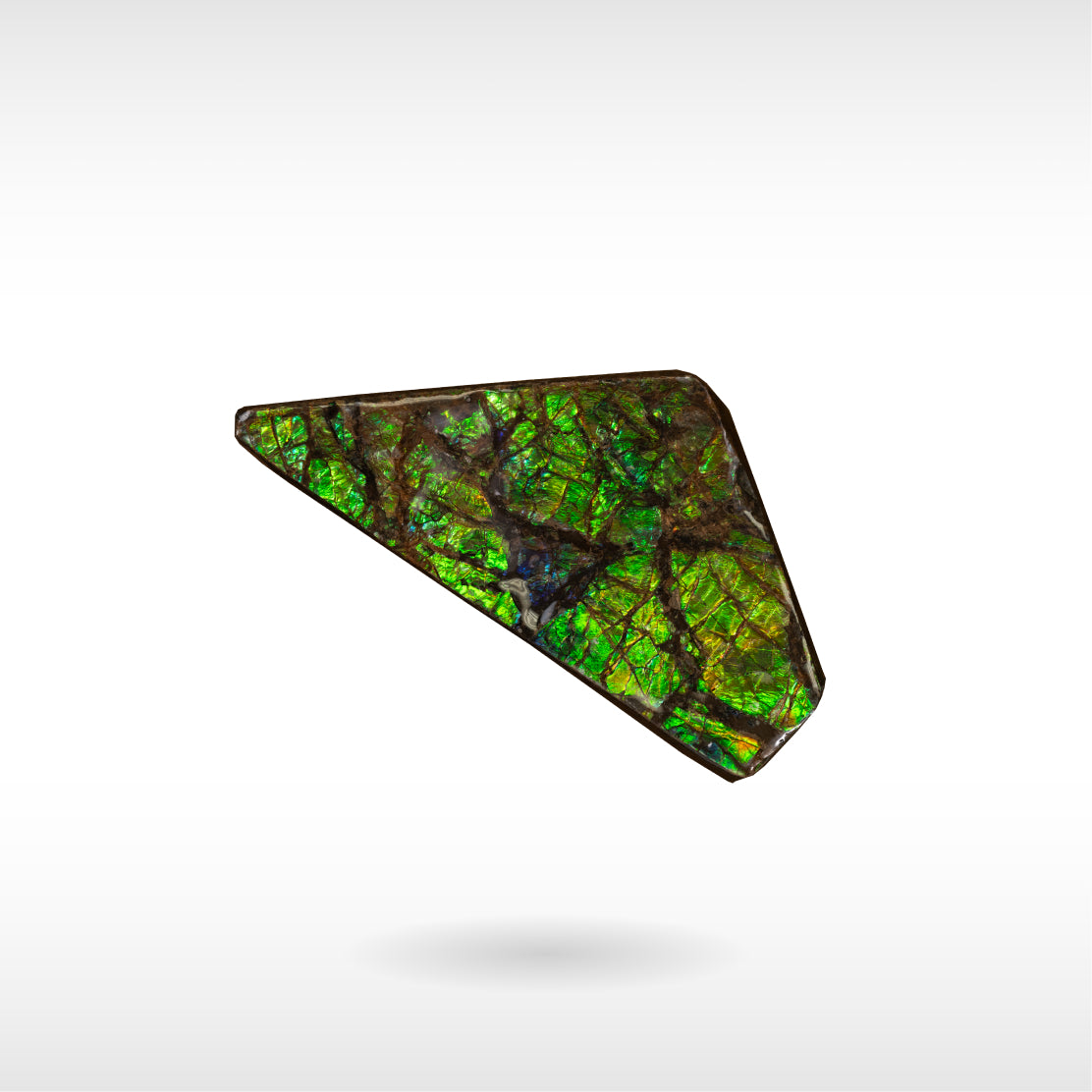 Freeform Ammolite - Handheld