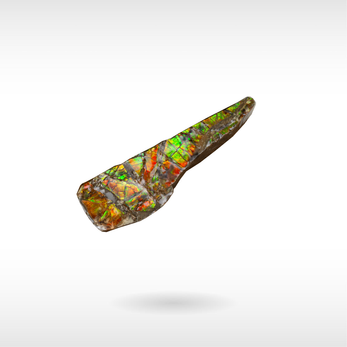 Freeform Ammolite - Handheld