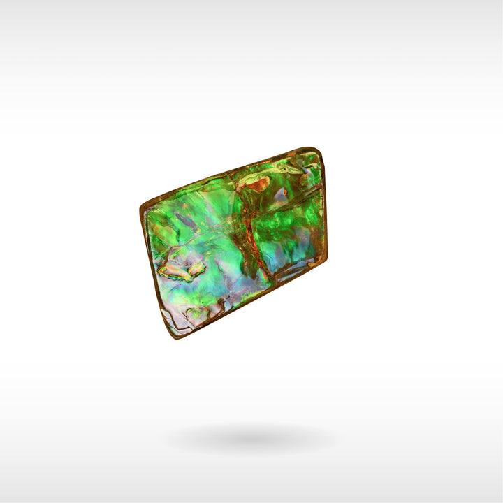 Freeform Ammolite - Handheld