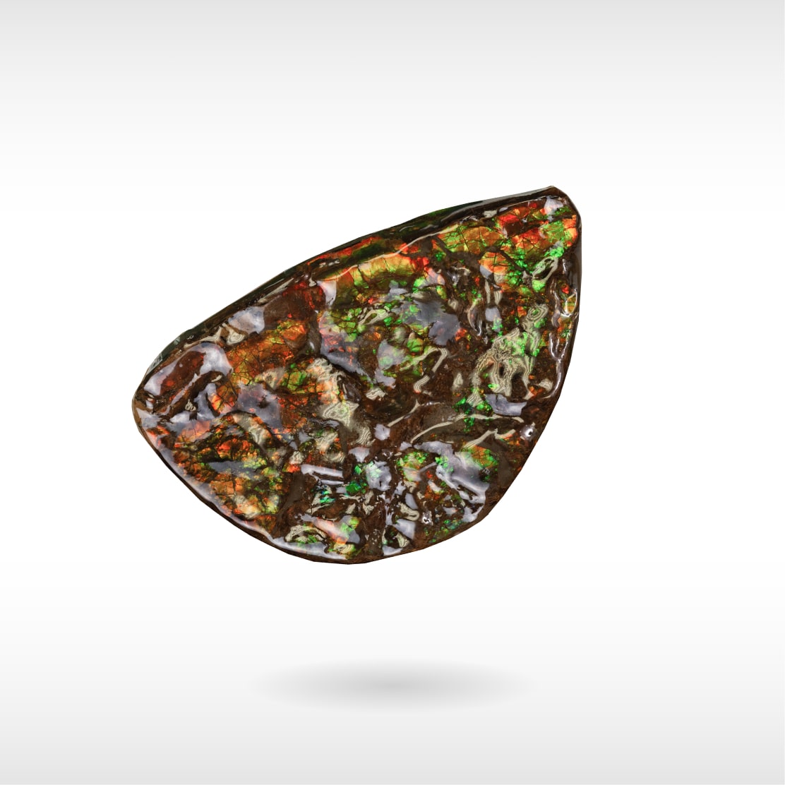 Freeform Ammolite - Handheld