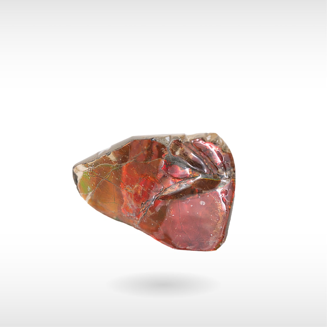 Freeform Ammolite - Handheld