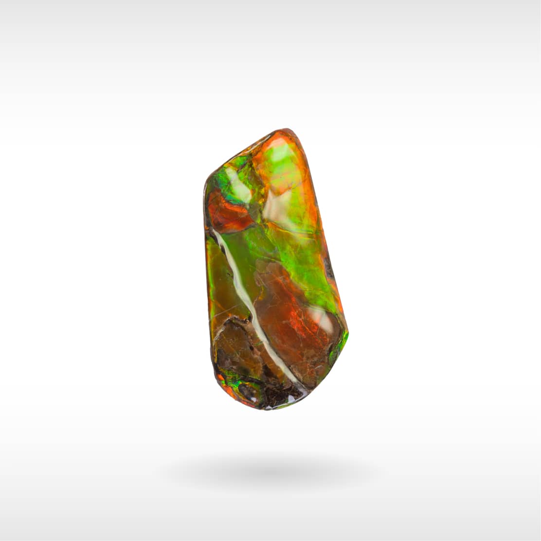 Freeform Ammolite - Handheld