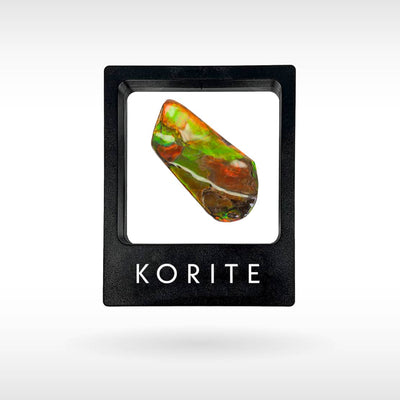 Freeform Ammolite - Handheld