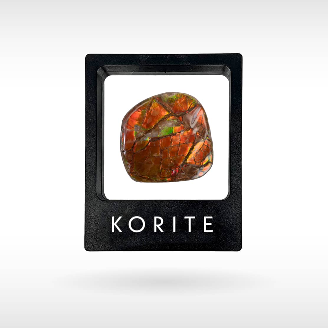 Freeform Ammolite - Handheld