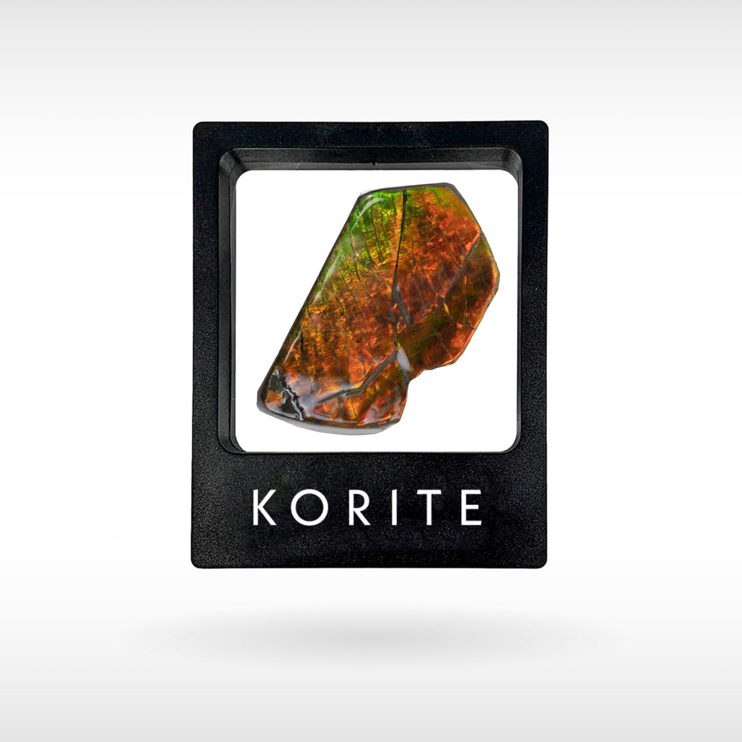 Freeform Ammolite - Handheld