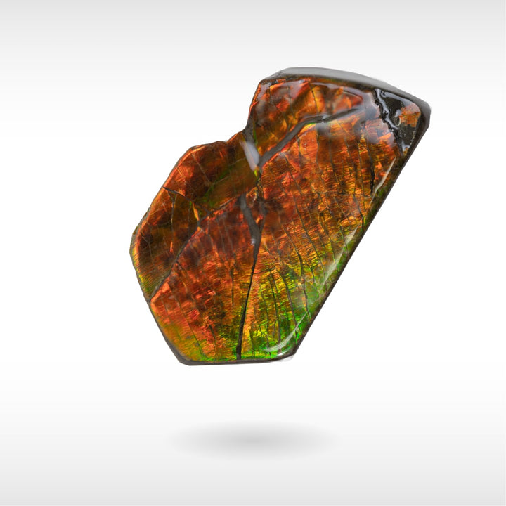 Freeform Ammolite - Handheld