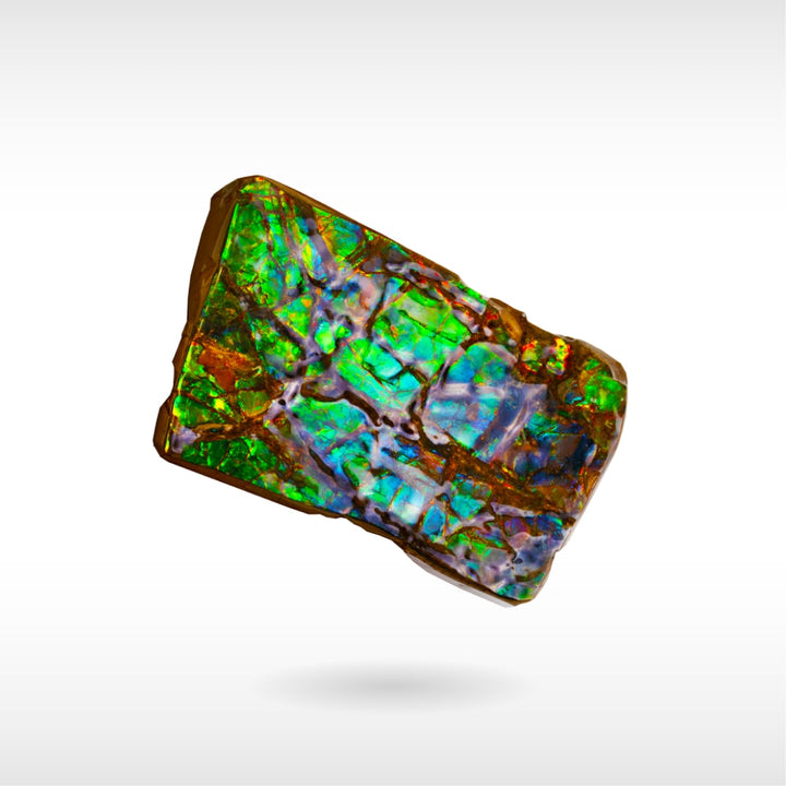 Freeform Ammolite - Handheld