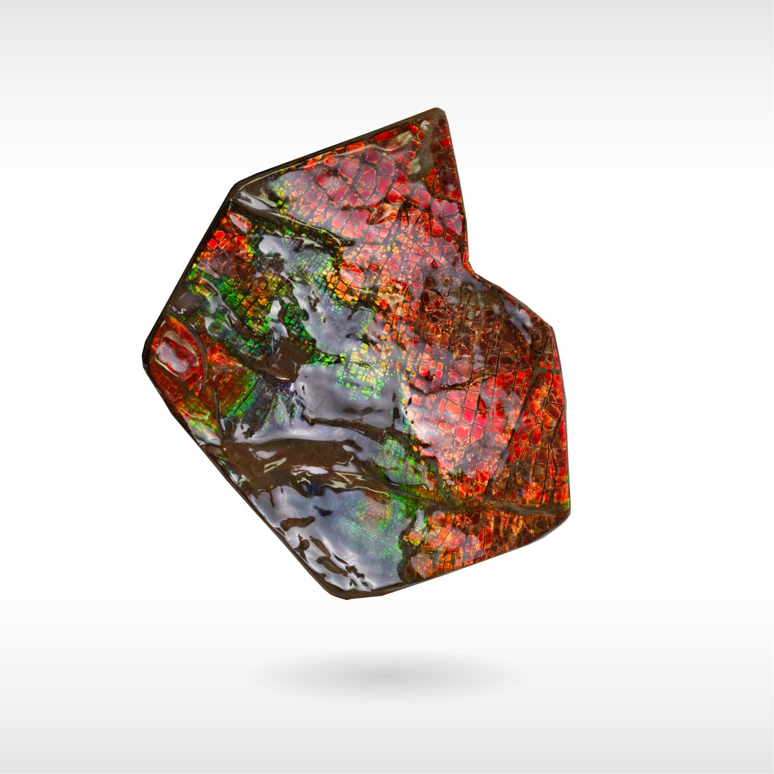 Freeform Ammolite - Handheld