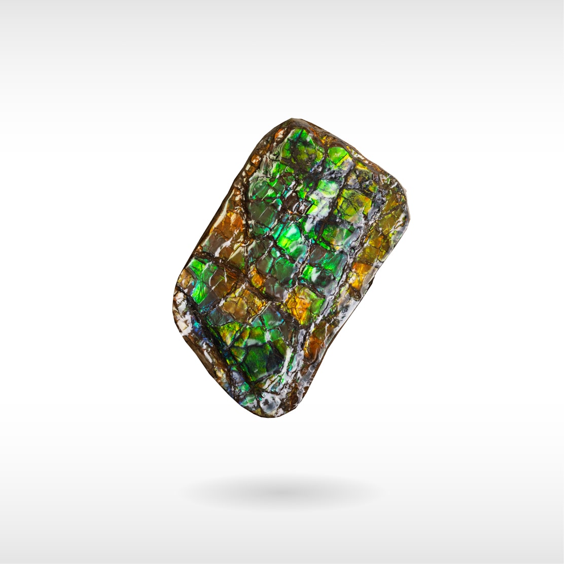 Freeform Ammolite - Handheld