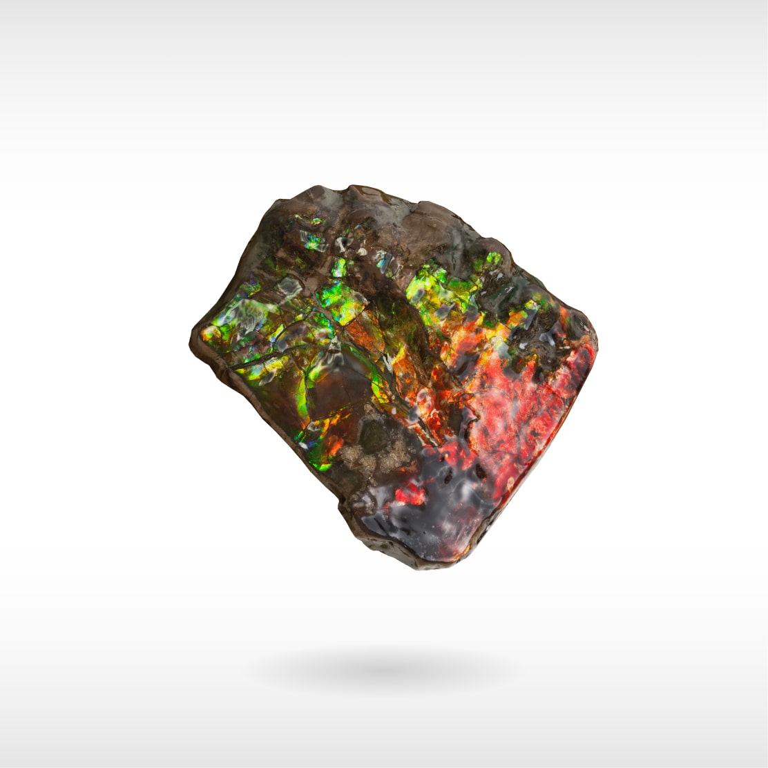 Freeform Ammolite - Handheld