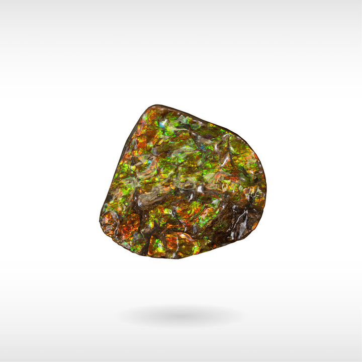 Freeform Ammolite - Handheld