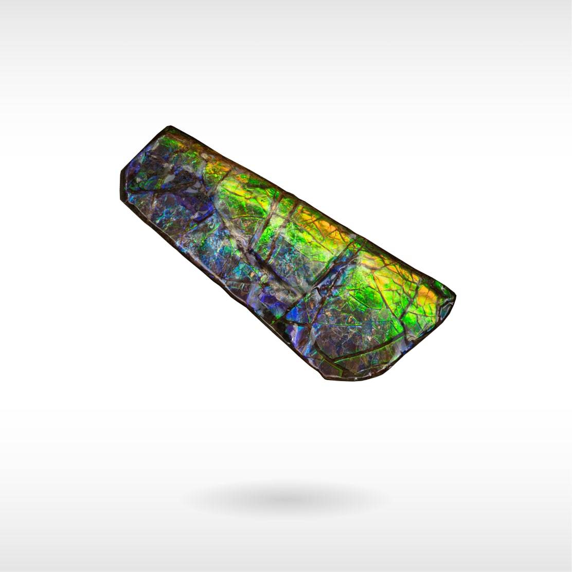 Freeform Ammolite - Handheld