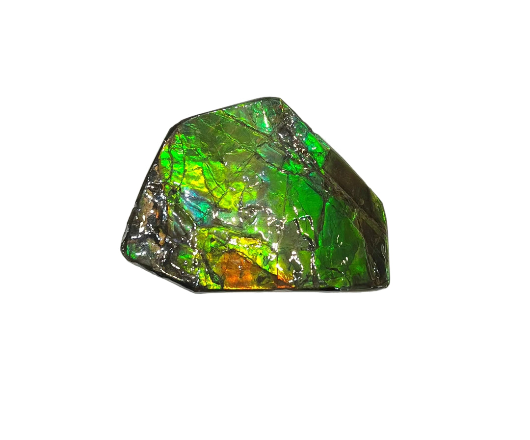 Freeform Ammolite - Handheld