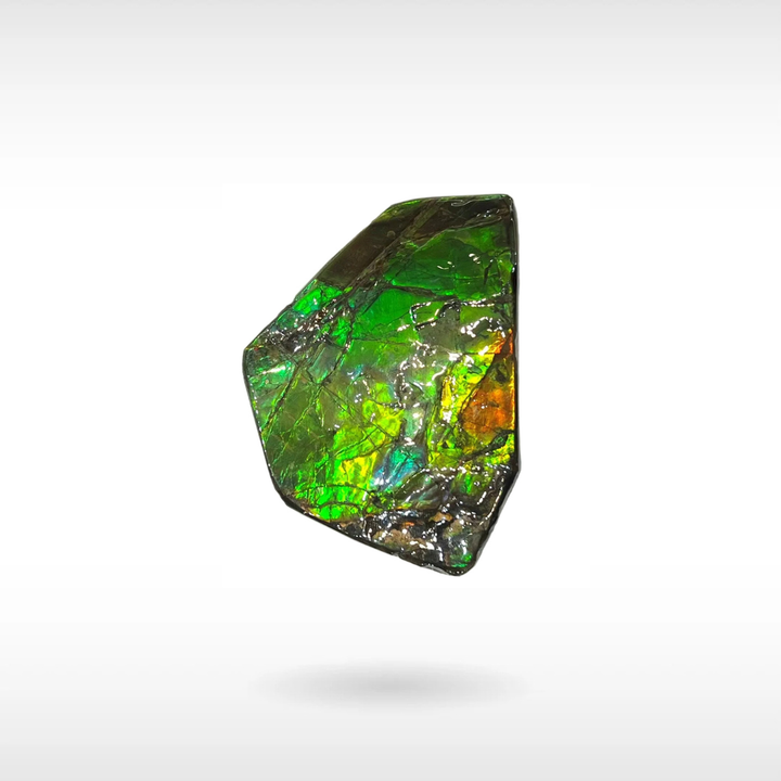 Freeform Ammolite - Handheld