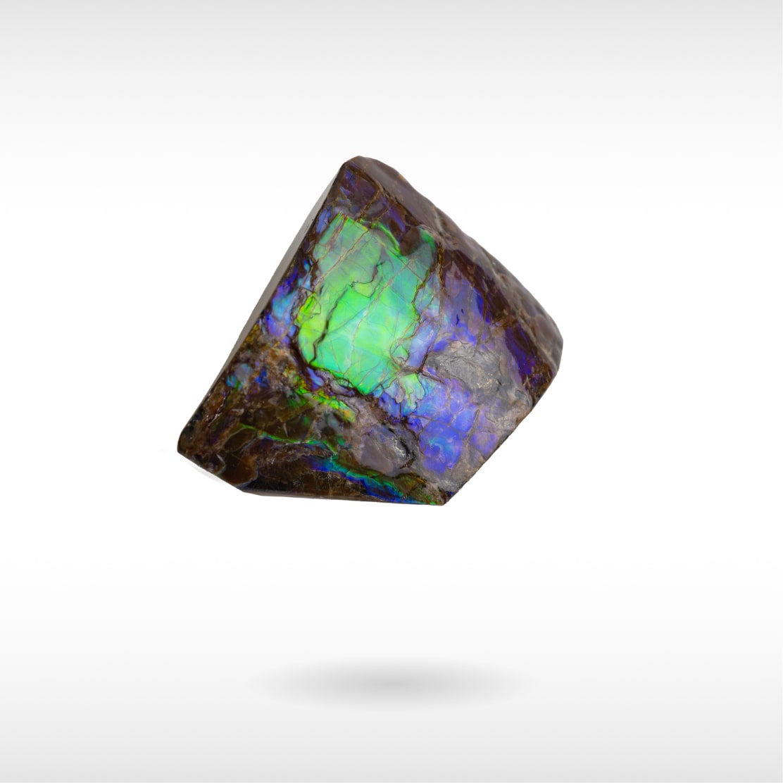 Freeform Ammolite - Handheld