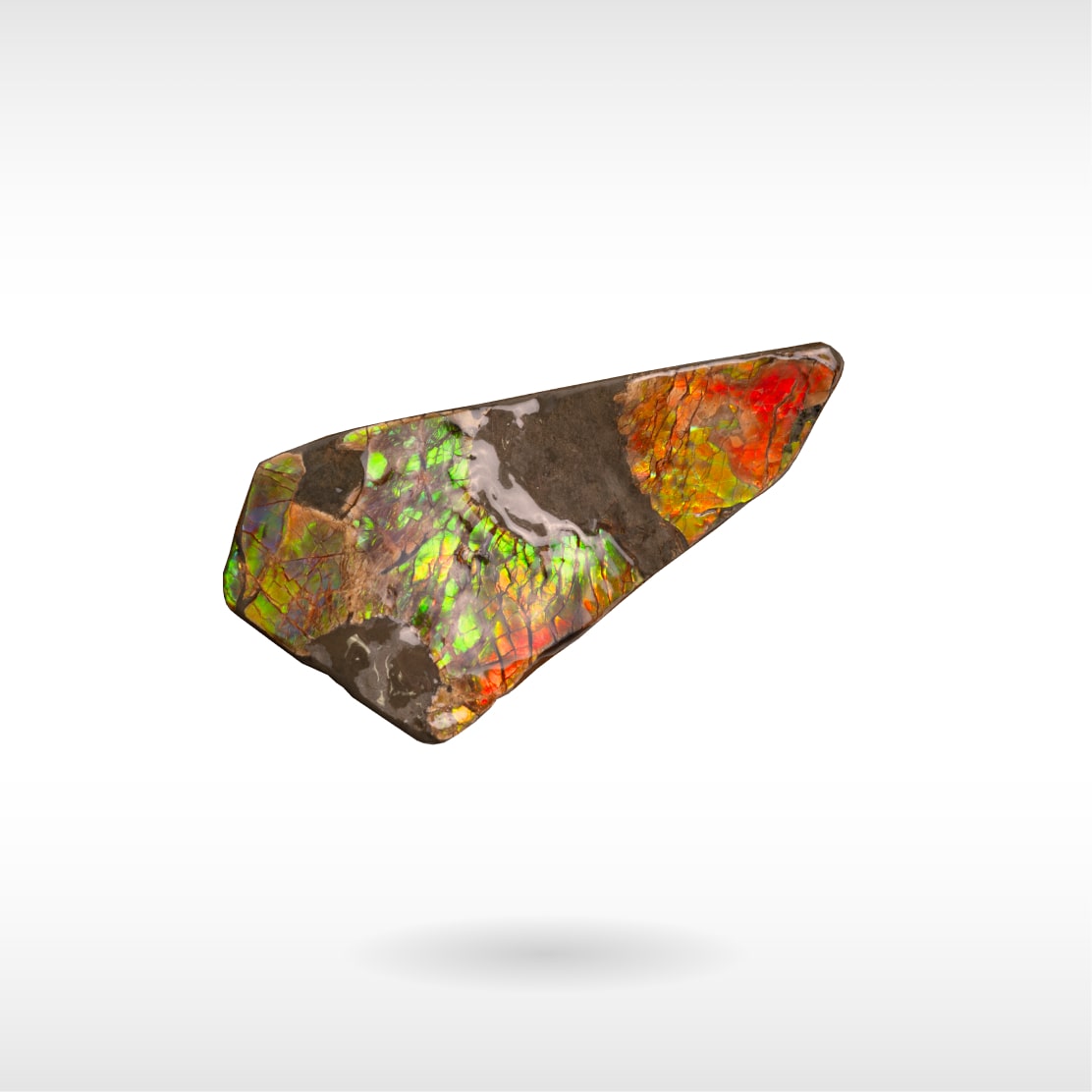 Freeform Ammolite - Handheld