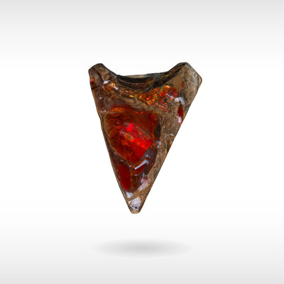 Freeform Ammolite - Handheld