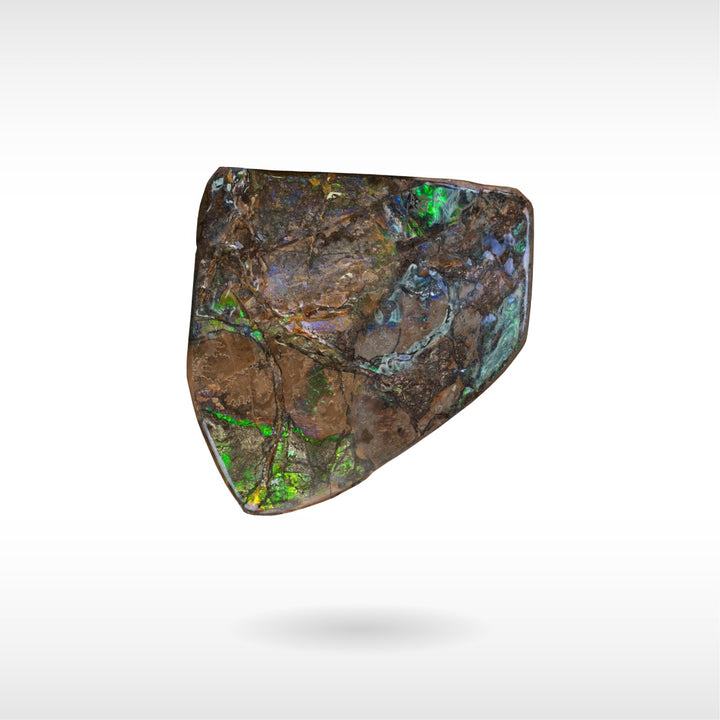 Freeform Ammolite - Handheld