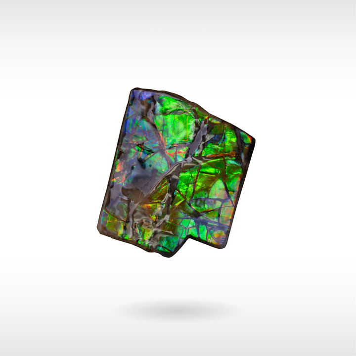 Freeform Ammolite - Handheld