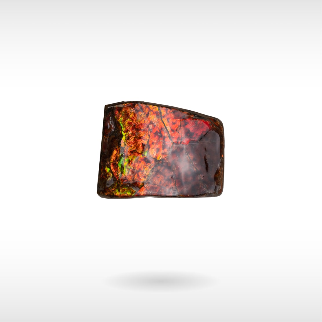 Freeform Ammolite - Handheld