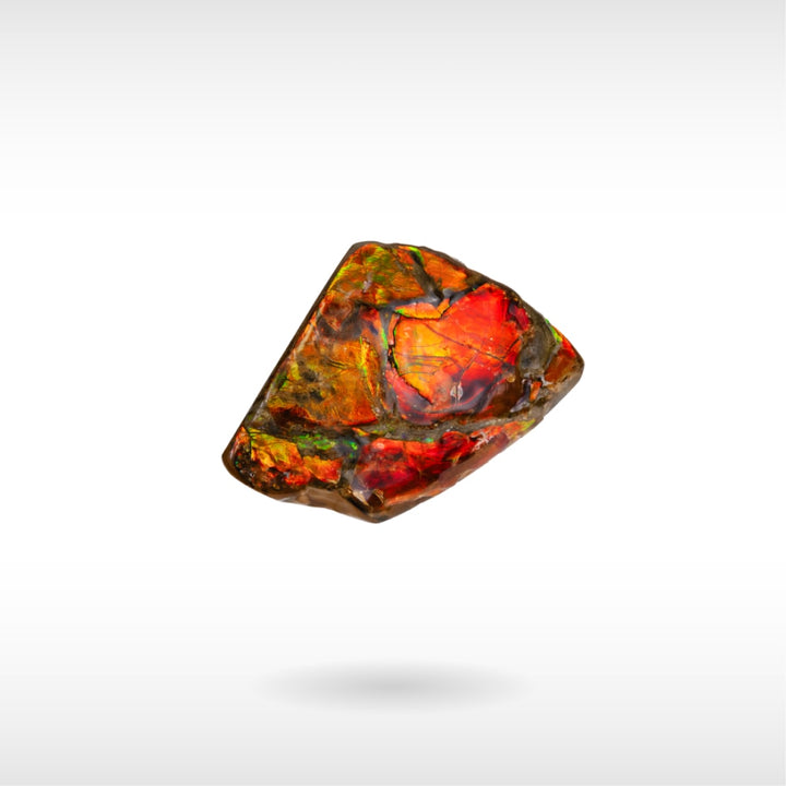 Freeform Ammolite - Handheld