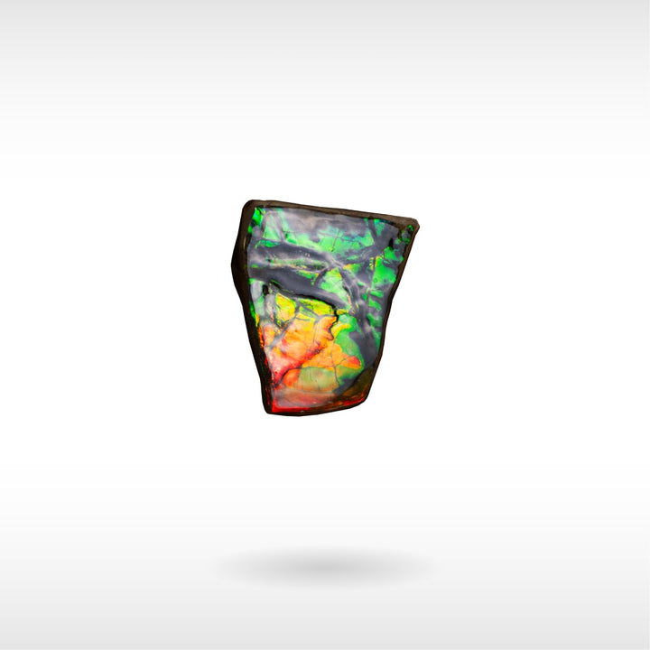 Freeform Ammolite - Handheld