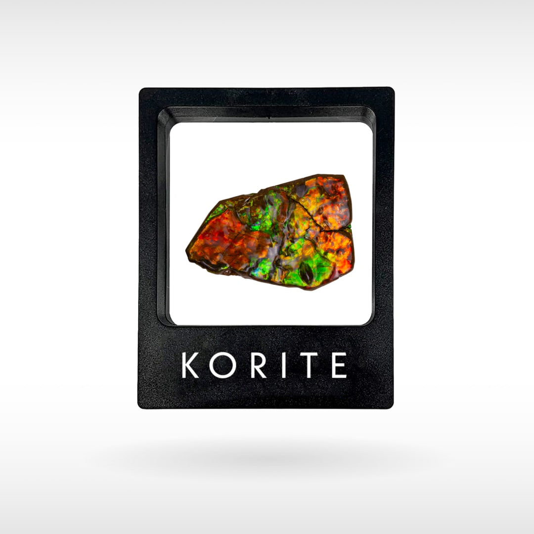 Freeform Ammolite - Handheld