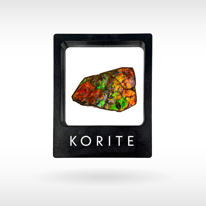 Freeform Ammolite - Handheld