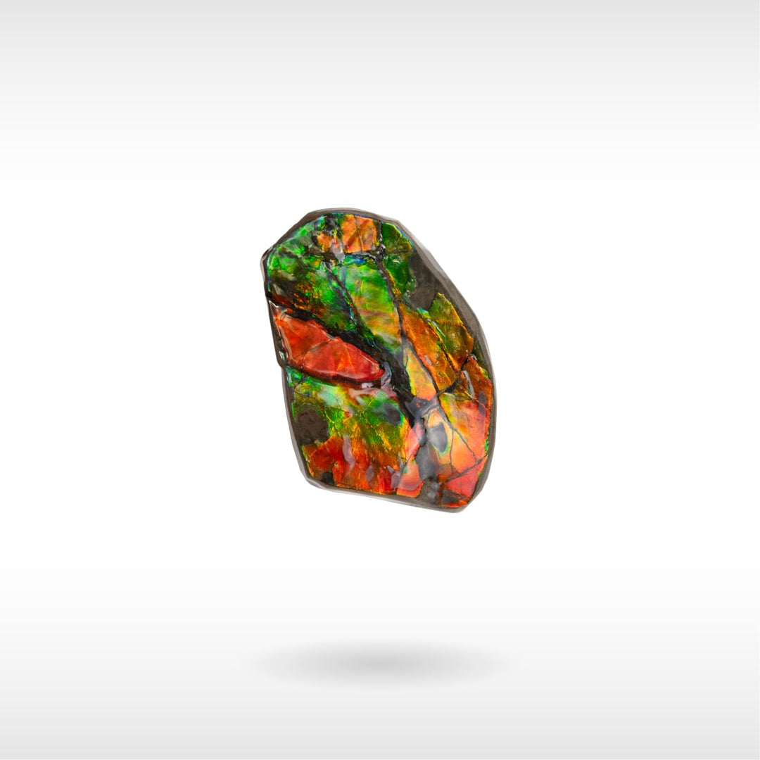 Freeform Ammolite - Handheld