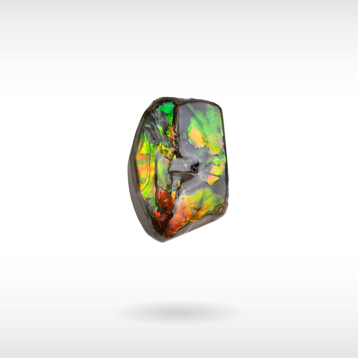 Freeform Ammolite - Handheld