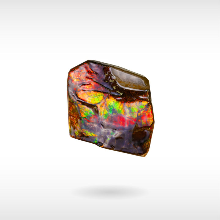 Freeform Ammolite - Handheld