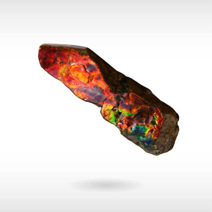 Freeform Ammolite - Handheld