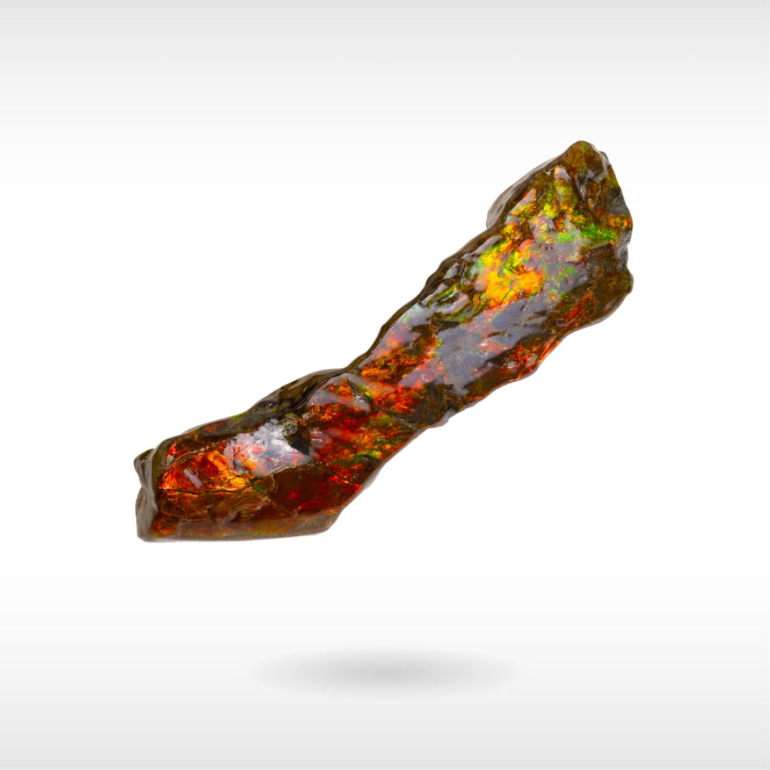 Freeform Ammolite - Handheld