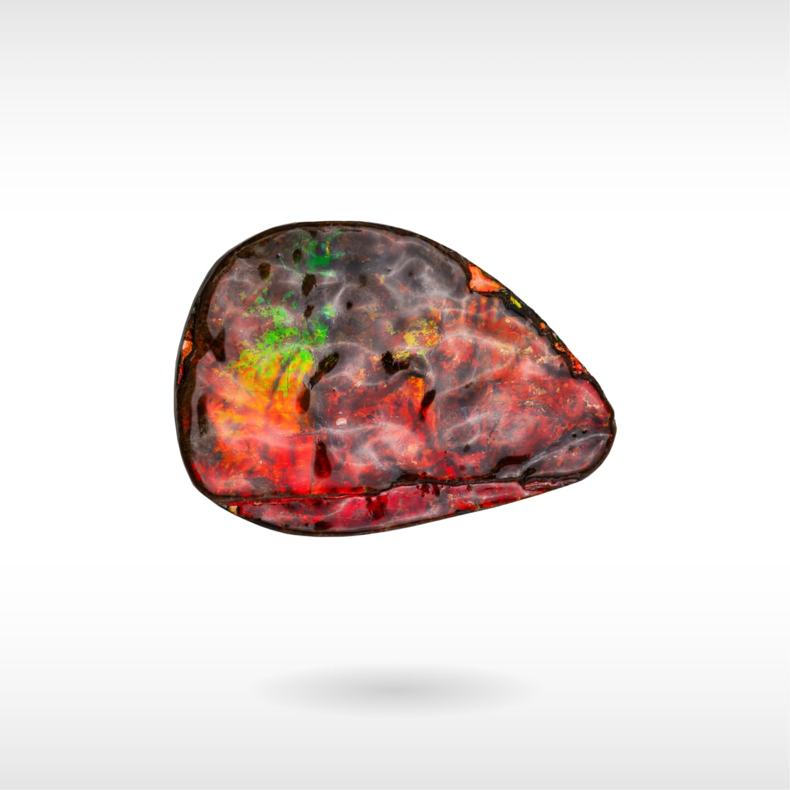 Freeform Ammolite - Handheld