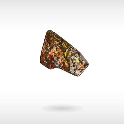 Freeform Ammolite - Handheld