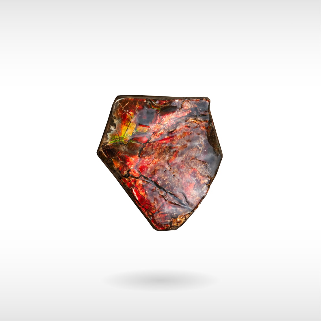 Freeform Ammolite - Handheld