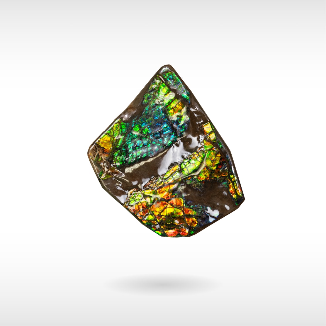 Freeform Ammolite - Handheld