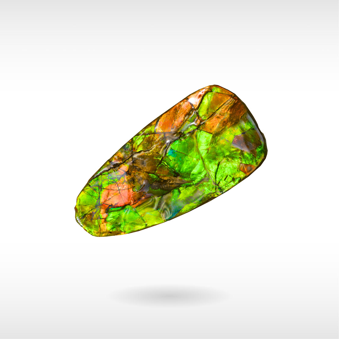 Freeform Ammolite - Handheld