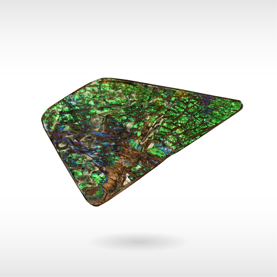 Freeform Ammolite - Handheld